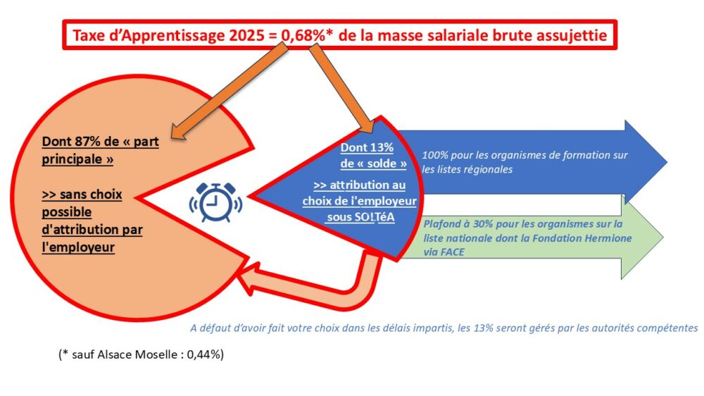 Taxe d'apprentissage 2025 schéma pour NL
